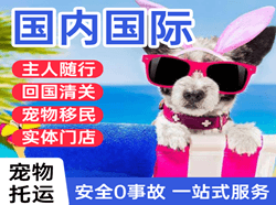 东营胜利航空运输国际宠物托运 【国